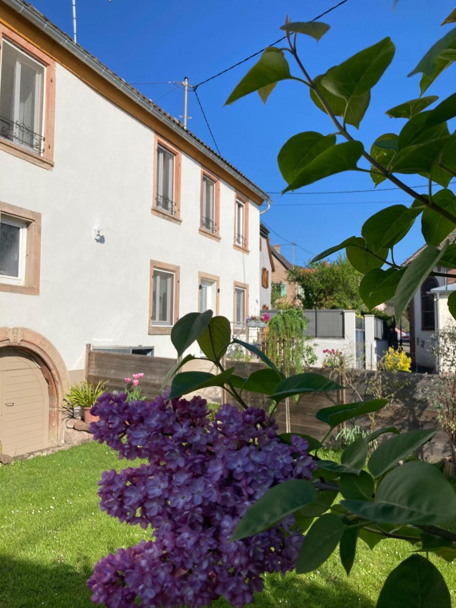 Gite Le 1602 Saint-Nabor 외부 사진